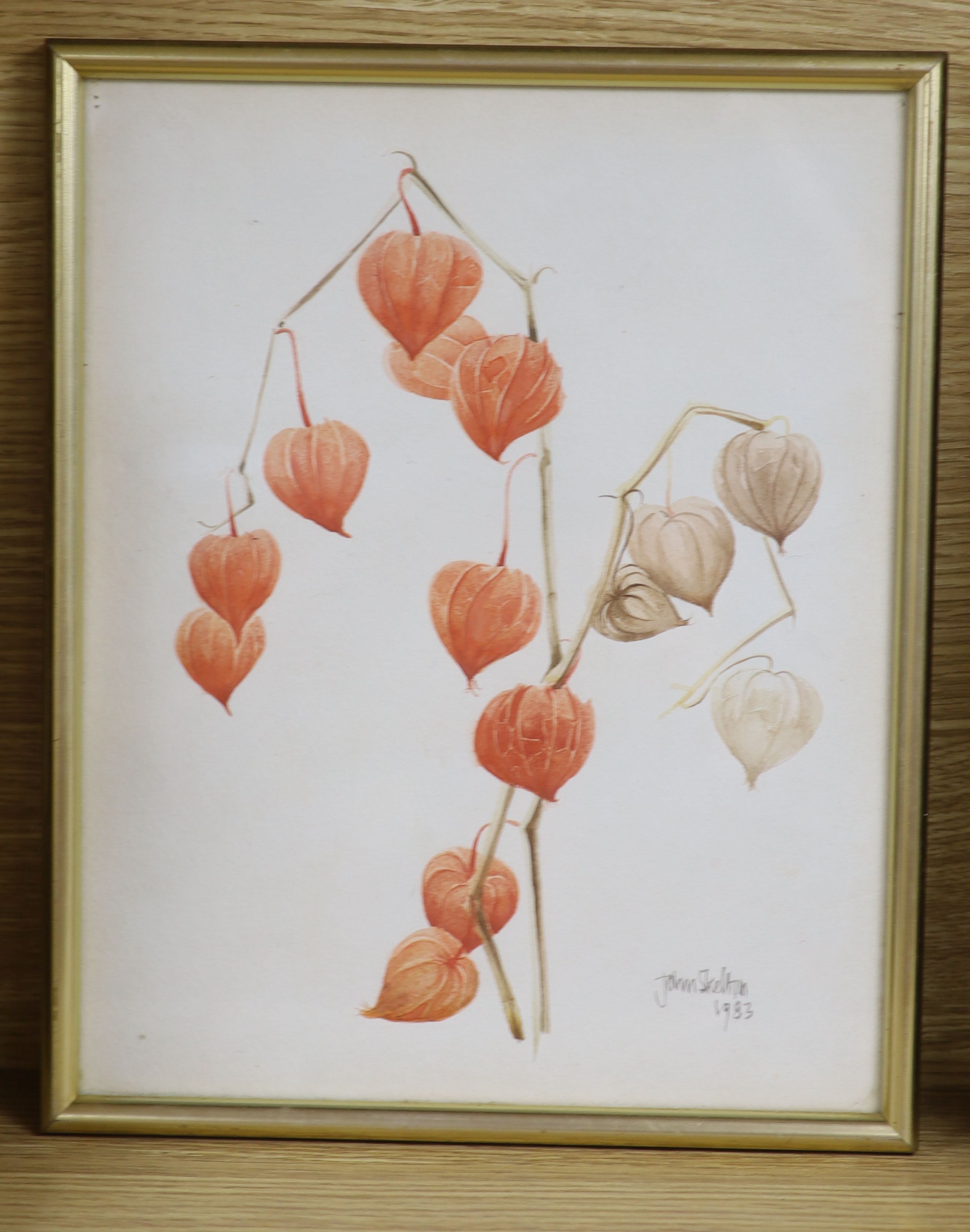 John Skelton, watercolour, Study of a Chinese lantern plant, signed and dated ’83, 30 x 24cm